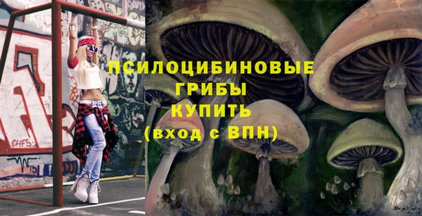 ПСИЛОЦИБИНОВЫЕ ГРИБЫ Армянск