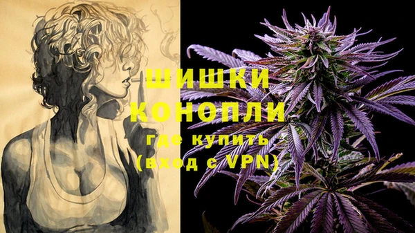 ПСИЛОЦИБИНОВЫЕ ГРИБЫ Армянск