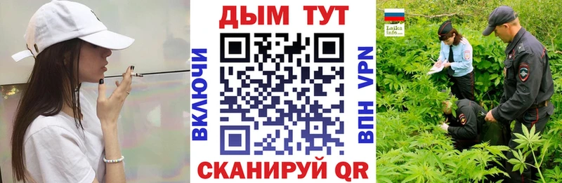 что такое наркотик  OMG как войти  Каннабис White Widow  сайты даркнета телеграм  Щёлкино 